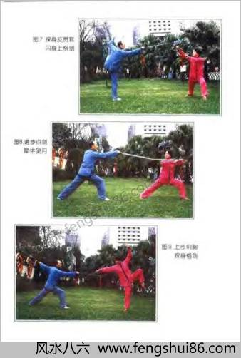 《[三才剑法精解].陈龙骧》
