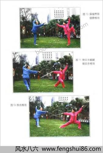 《[三才剑法精解].陈龙骧》
