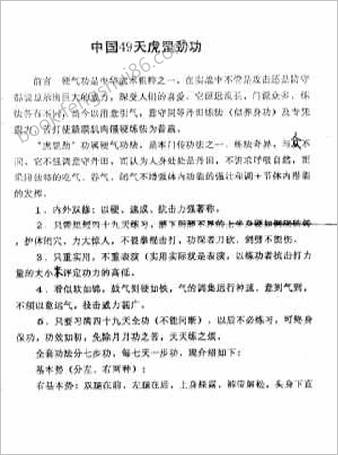 中华天虎罡劲功.王林斌