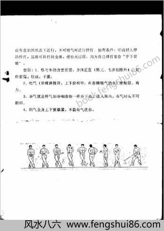 中华天虎罡劲功.王林斌