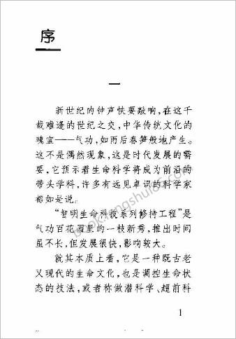 中华智明功法.王智森