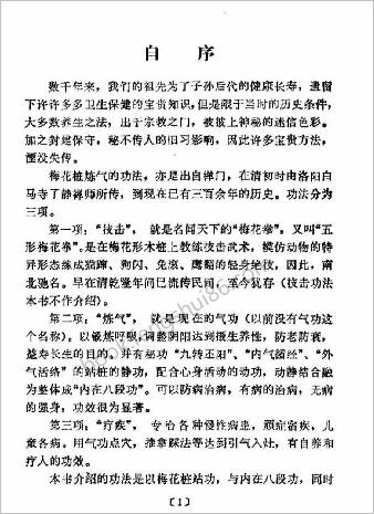 健身益寿梅花桩.王雪轩