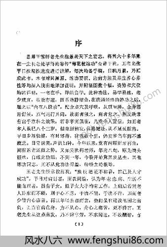 健身益寿梅花桩.王雪轩 健身益寿梅花桩.王雪轩