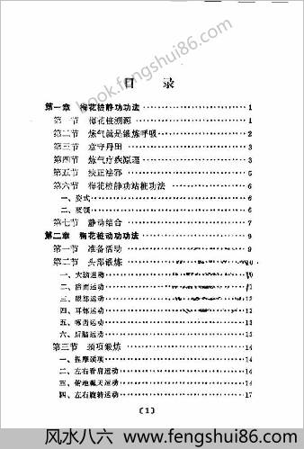 健身益寿梅花桩.王雪轩