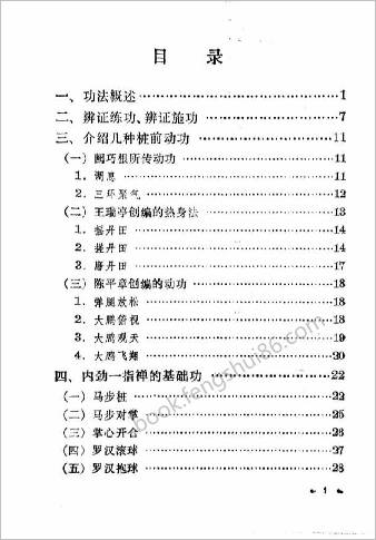 内劲一指禅治病养生练法.阙巧根