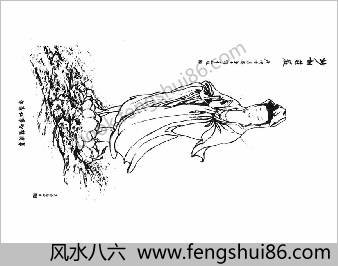 大悲咒集解-钱召如居士述一部-2