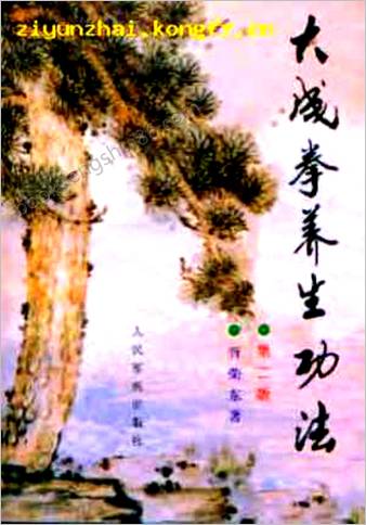 大成拳养生功法.胥荣东