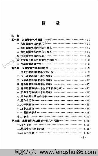 太极智能气功.吴一