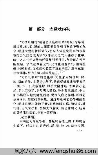 太极鹤步功.王月明