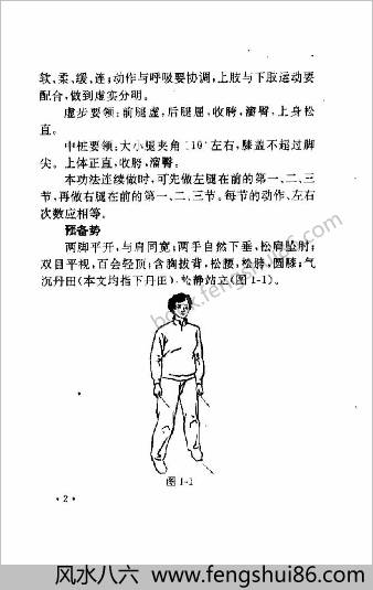 太极鹤步功.王月明