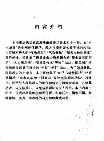 奇功异术.天山居士