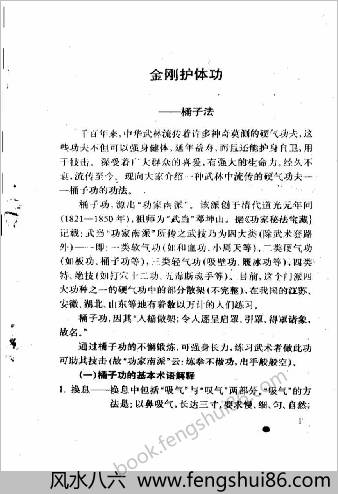 奇功异术.天山居士