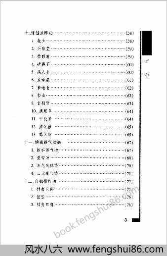 少林气功内劲一指禅教程.王瑞亭