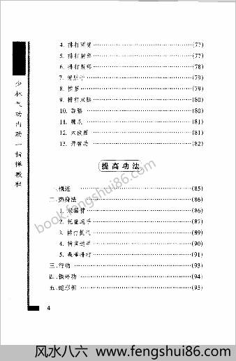 少林气功内劲一指禅教程.王瑞亭