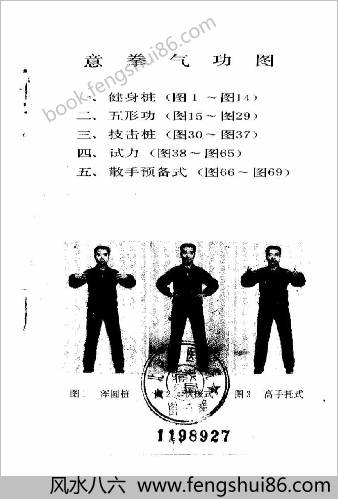 意拳气功.王安平