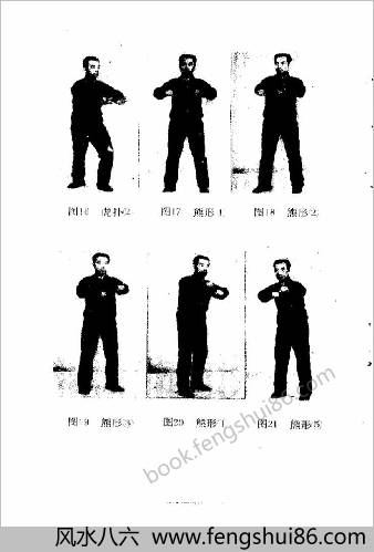 意拳气功.王安平