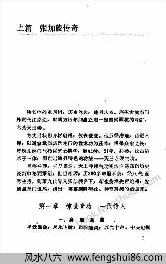 气功大师张加陵和他的初级功.肖赐轶