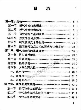 硬气功点穴术.安在峰