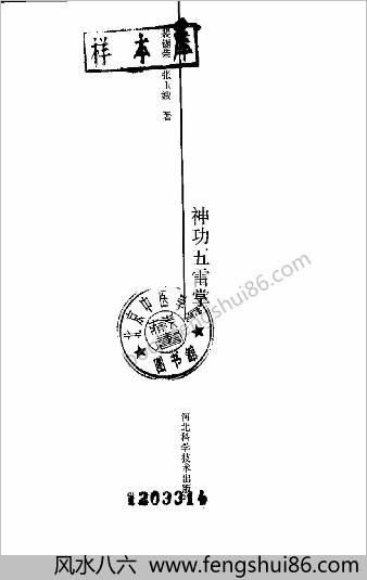 神功五雷掌.裴锡荣