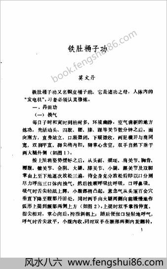 中华硬气功功法荟萃.莫文丹 中华硬气功功法荟萃.莫文丹