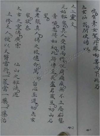 先天十二本午