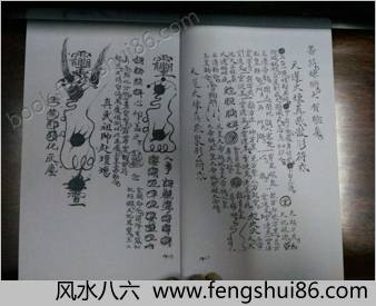 先天十二本午