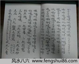 先天十二本辰