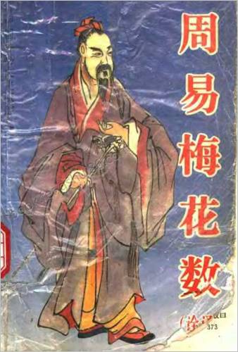 周易梅花数诠译