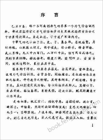 峨嵋临济气功-峨嵋外气诊治应用与硬气功.傅伟中