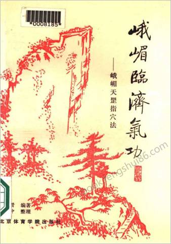 峨嵋天罡指穴法气功.傅伟中