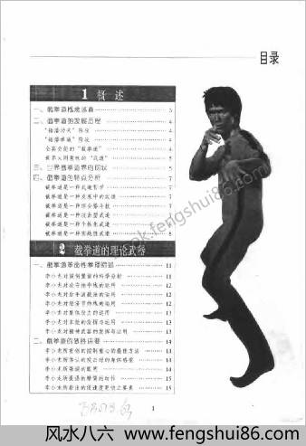 权威截拳道.魏峰著