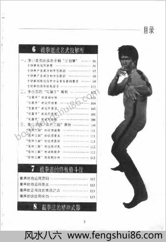 权威截拳道.魏峰著