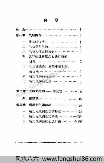 杨氏气功.杨文志