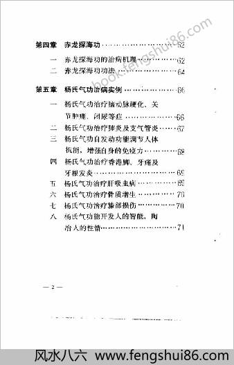 杨氏气功.杨文志