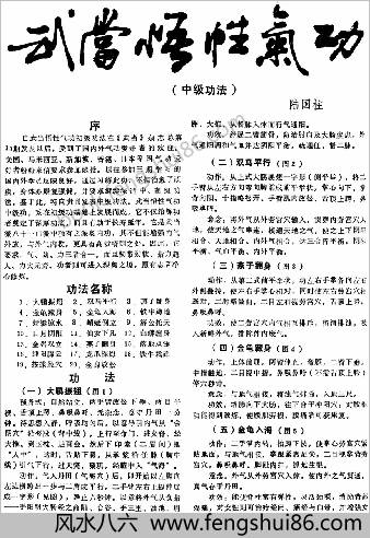 武当悟性气功