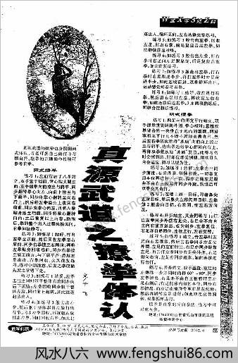 真源武道