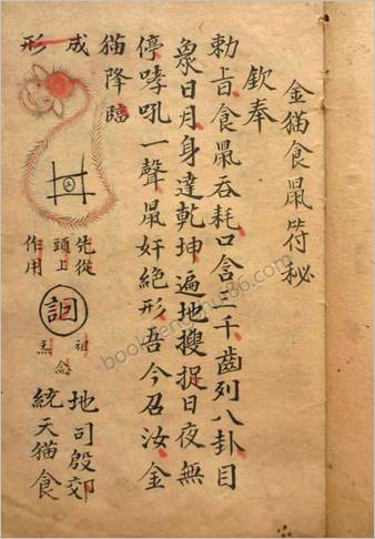 金兰特刊
