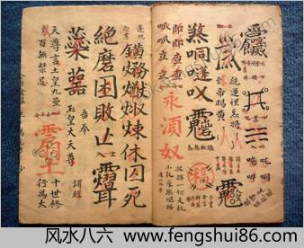 金兰特刊