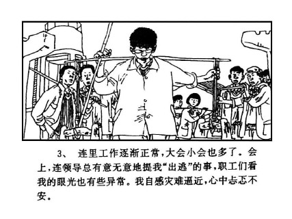 农场岁月_11节后归队