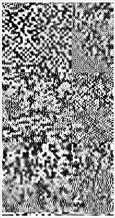 09873_淮宁县志（二）