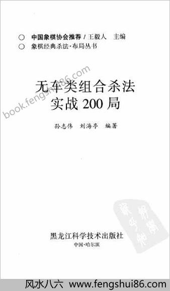 无车类组合杀法实战200局
