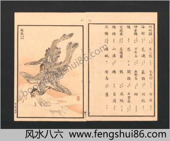 梅岭百鸟画谱续编.天地人.幸野梅岭画.1881年
