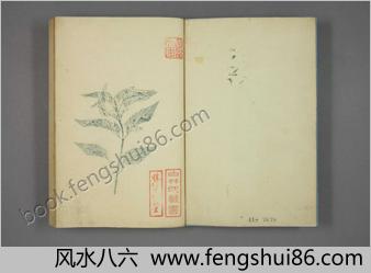 植物図谱