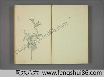 植物図谱