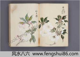 樱华八十图.桜华八十図.超高清版本