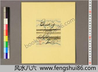 洋学者小色纸