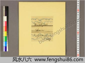 洋学者小色纸