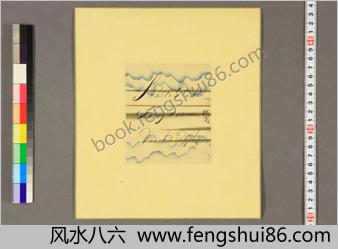 洋学者小色纸