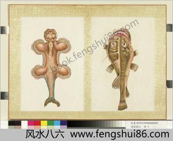 海怪图记.一册.十六开.清绘本.台北故宫博物院藏