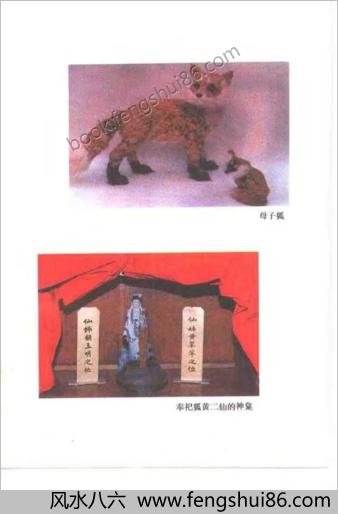 狐狸信仰之谜